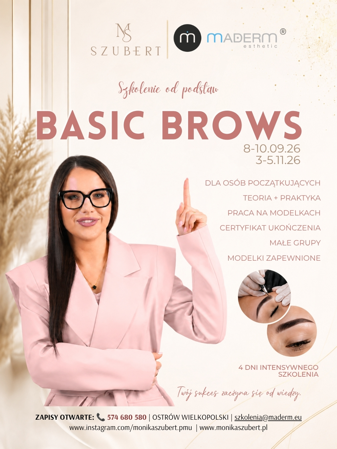 Plakat szkolenia Basic Brows